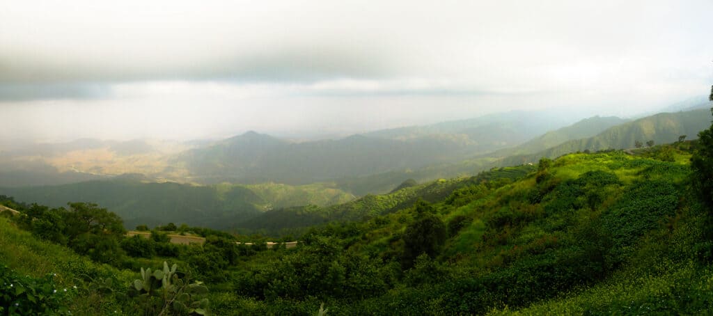 Aerial panoramic view to Filfil rainforest, Eritrea