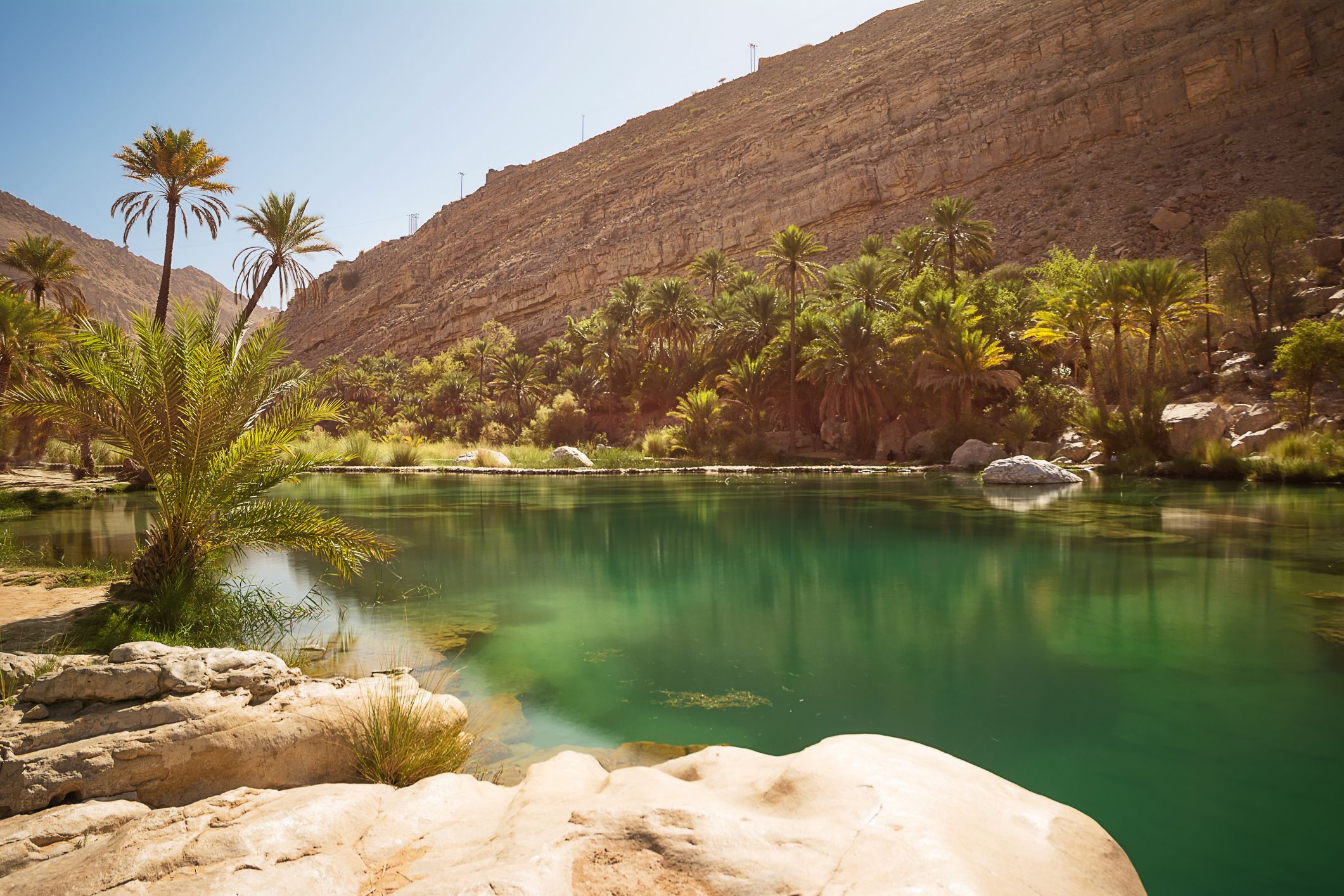 amazing lake and oasis with palm trees wadi bani khalid in the omani desert