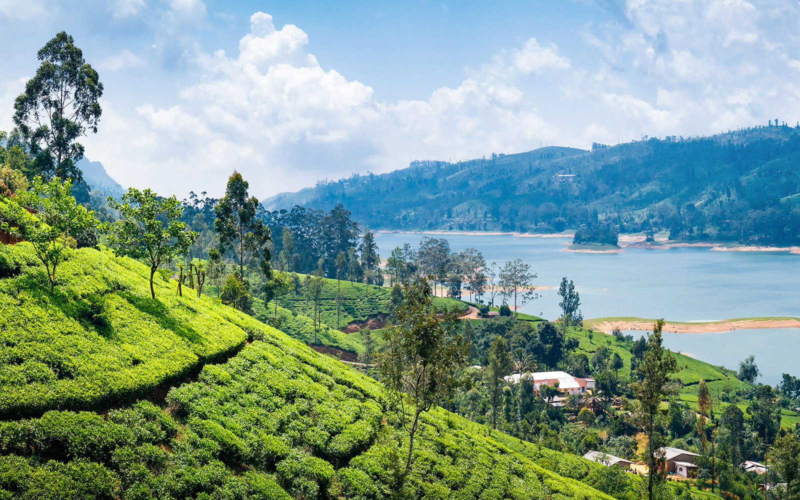 Sri Lanka