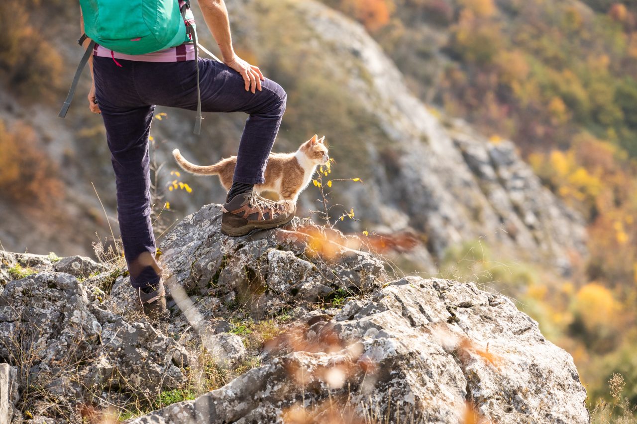 Cat keeps company to woman while she's enjoying the view during hiking
